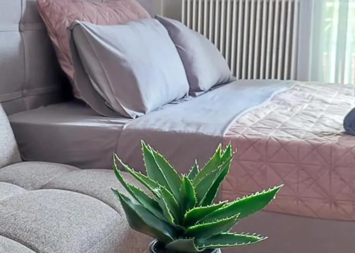 Soul Ii Soul Apartamento